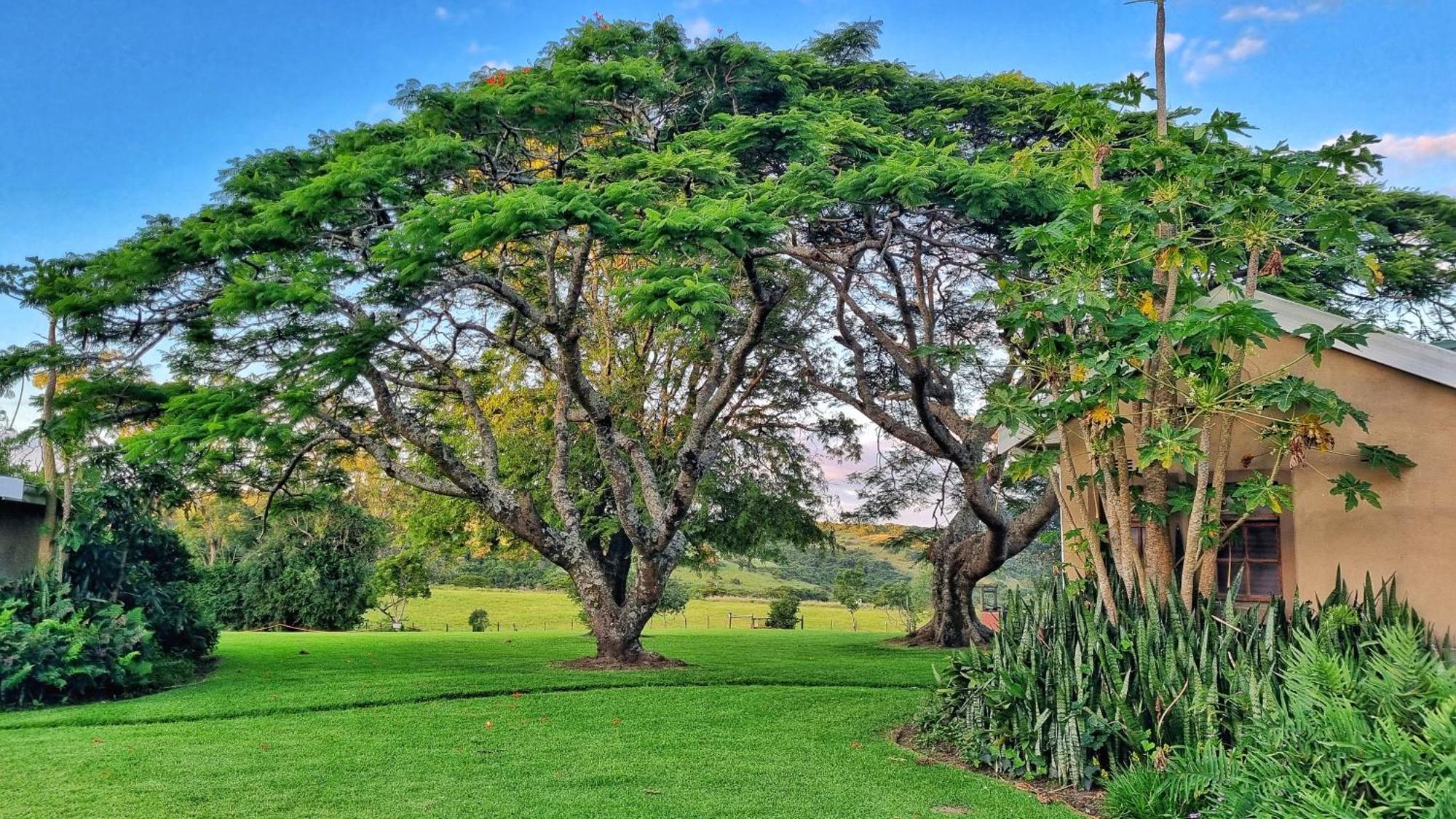 Oppieplaas Country Estate Villa Haga Haga ภายนอก รูปภาพ